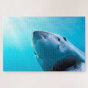 Great White Shark South Africa Jigsaw Puzzle