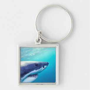 Great White Shark South Africa Key Ring