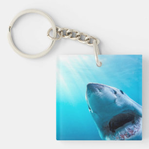 Great White Shark South Africa Key Ring