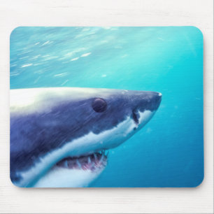 Great White Shark South Africa Mouse Mat