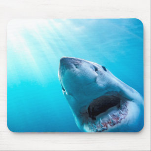 Great White Shark South Africa Mouse Mat