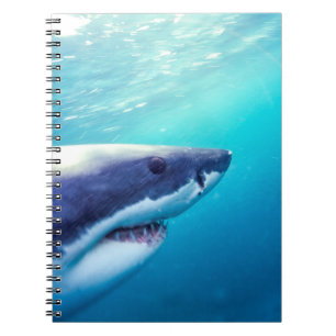 Great White Shark South Africa Notebook
