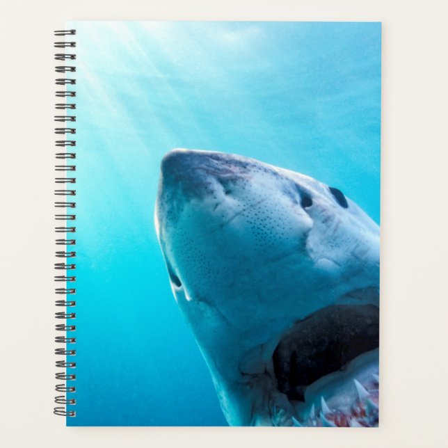 Great White Shark | South Africa Planner (Front)