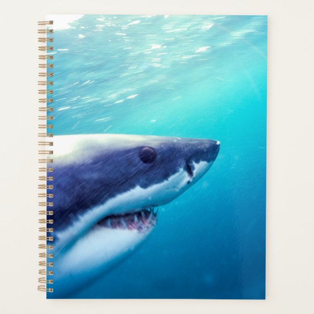Great White Shark | South Africa Planner (Front)
