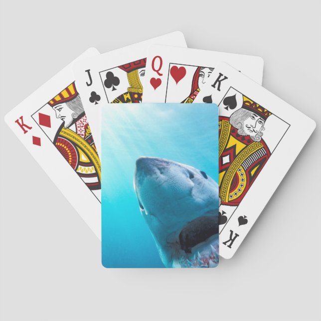 Great White Shark | South Africa Playing Cards (Back)