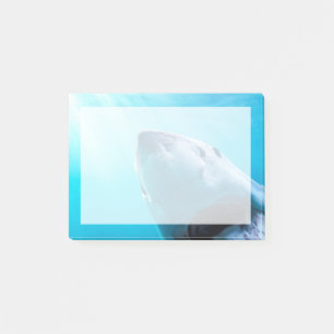 Great White Shark South Africa Post-it Notes