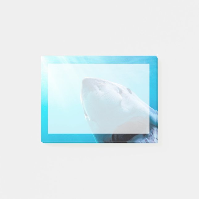Great White Shark | South Africa Post-it Notes (Front)