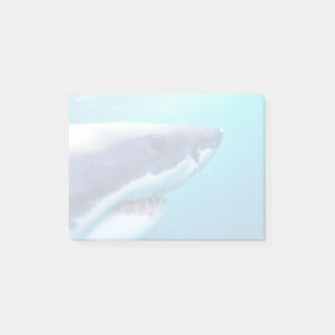 Great White Shark South Africa Post-it Notes