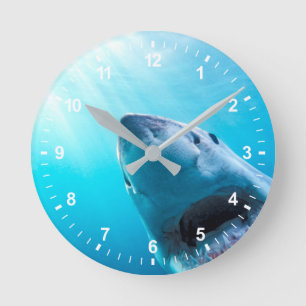 Great White Shark   South Africa Round Clock