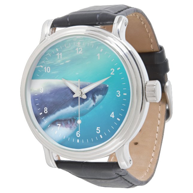 Great White Shark | South Africa Watch (Angled)