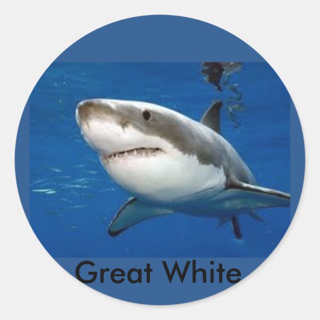 Great White Shark sticker (Front)