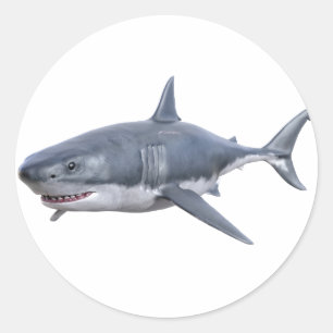 great white shark swimming to the right classic round sticker