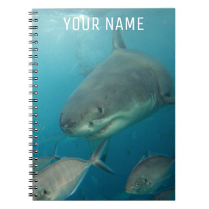 Great White Shark Underwater Portrait Custom Notebook