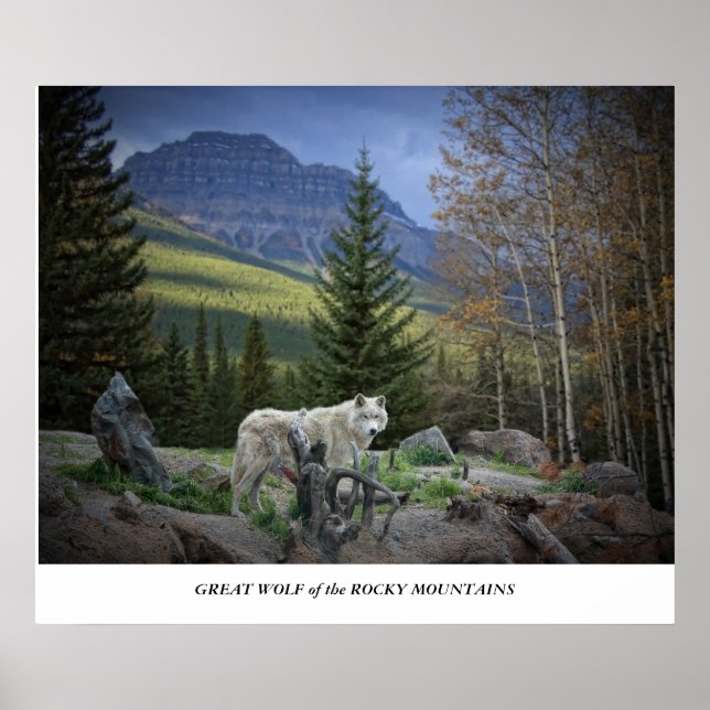 Great Wolf of the Rocky Mountains Poster (Front)