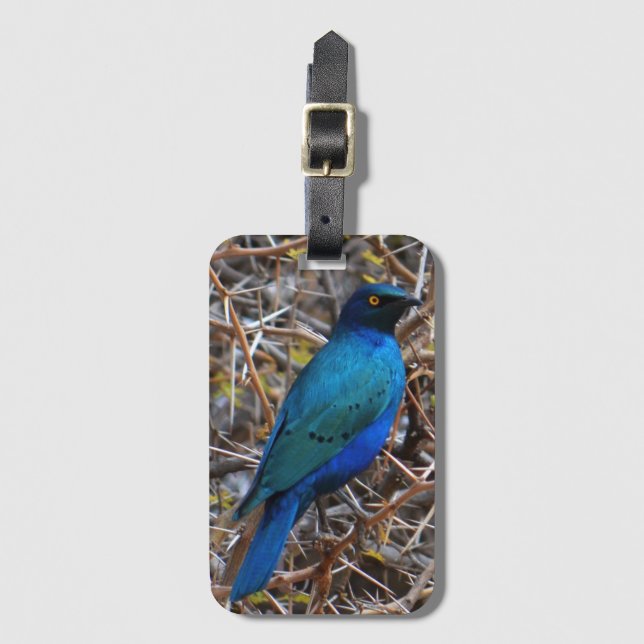 Greater Blue Eared Starling bird Luggage Tag (Front Vertical)