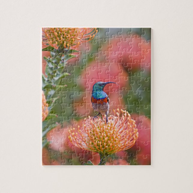 Greater Double-collared Sunbird Jigsaw Puzzle (Vertical)