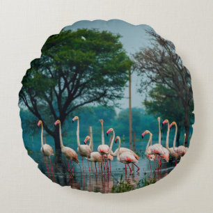 Greater flamingo flock in natural habitat. A natur Round Cushion