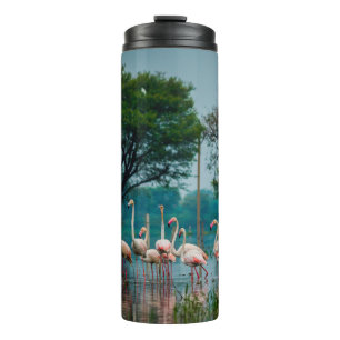 Greater flamingo flock in natural habitat. A natur Thermal Tumbler