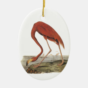 Greater Flamingo, John Audubon Ceramic Tree Decoration