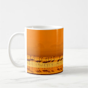 Greater Flamingo ( Phoenicopterus roseus) walking Coffee Mug