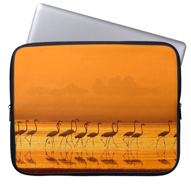 Greater Flamingo ( Phoenicopterus roseus) walking  Laptop Sleeve (Front)