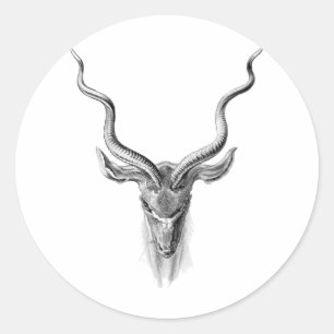 Greater Kudu Classic Round Sticker
