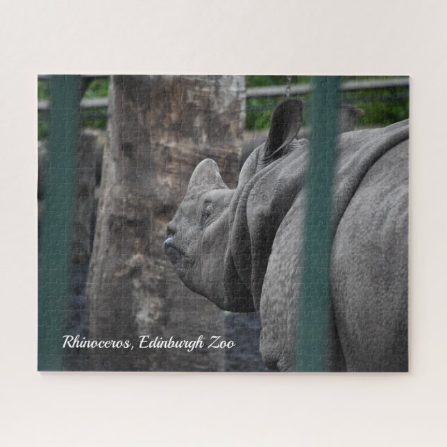 Greater One-Horned Rhinoceros at Edinburgh Zoo Jigsaw Puzzle (Horizontal)
