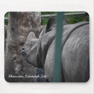 Greater One-Horned Rhinoceros at Edinburgh Zoo Mouse Mat