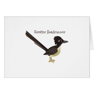 Greater Roadrunner