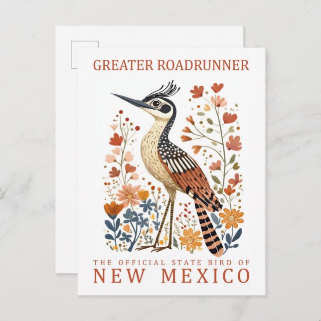 Greater Roadrunner Bird of New Mexico USA Postcard (Front/Back)