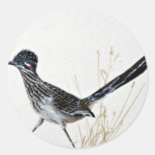Greater roadrunner classic round sticker