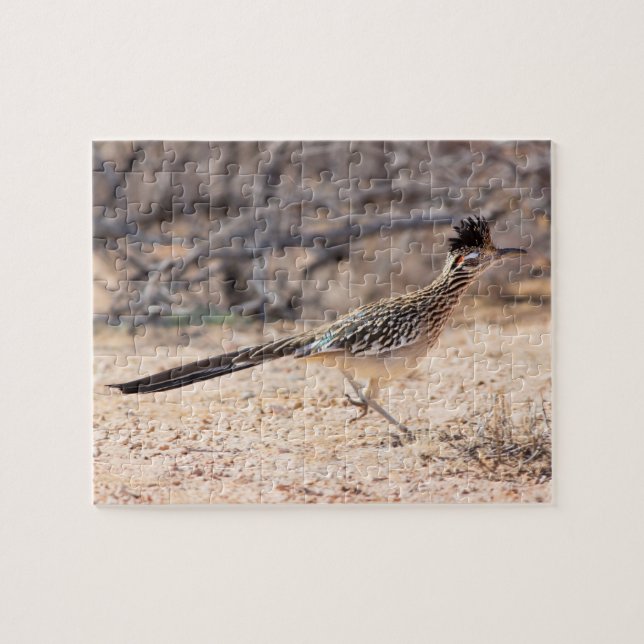 Greater Roadrunner Desert Jigsaw Puzzle (Horizontal)