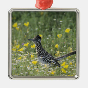 Greater Roadrunner, Geococcyx californianus, Metal Tree Decoration