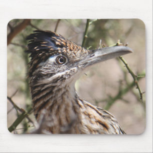 Greater Roadrunner Mousepad
