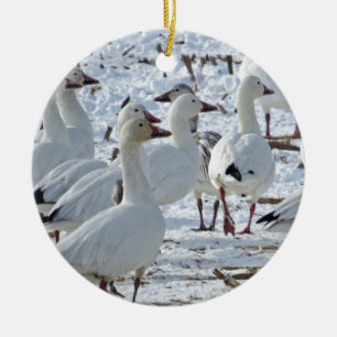 Greater Snow Geese in Cornfield (Winter) Ceramic Tree Decoration
