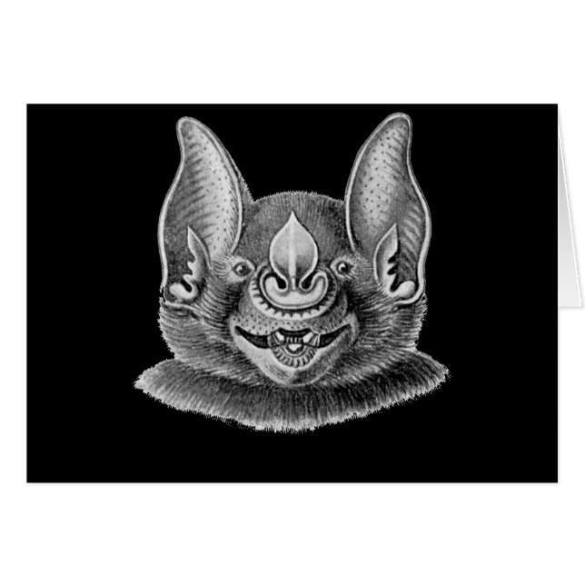 Greater Spear-nosed Bat (Front Horizontal)