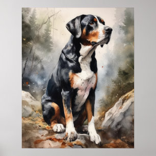 Greater Swiss Mountain Dog Art Print Poster