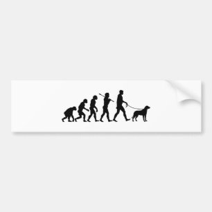 Greater Swiss Mountain Dog Bumper Sticker