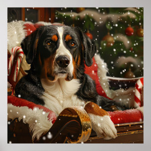 Greater Swiss Mountain Dog Christmas Festive Poster