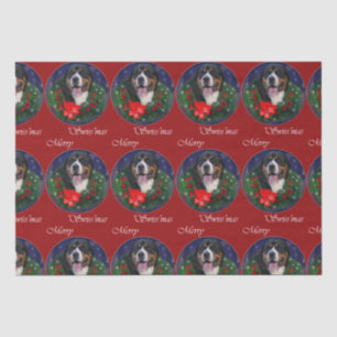 Greater Swiss Mountain Dog ChristmasTissue Paper