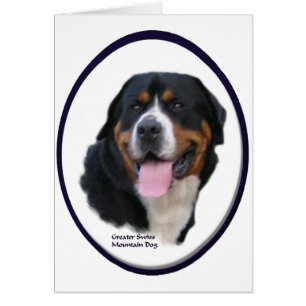 Greater Swiss Mountain Dog Gifts