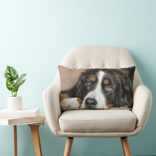 Greater Swiss Mountain Dog Lumbar Cushion