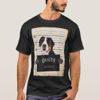 Greater Swiss Mountain Dog mug shot