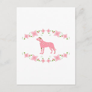 Greater Swiss Mountain Dog Postcard