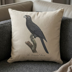 Greater Vasa Parrot, Coracopsis Vasa Illustration Cushion