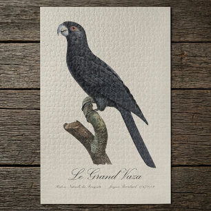 Greater Vasa Parrot, Coracopsis Vasa Illustration Jigsaw Puzzle