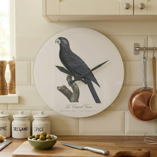 Greater Vasa Parrot, Coracopsis Vasa Illustration Large Clock
