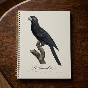 Greater Vasa Parrot, Coracopsis Vasa Illustration Planner