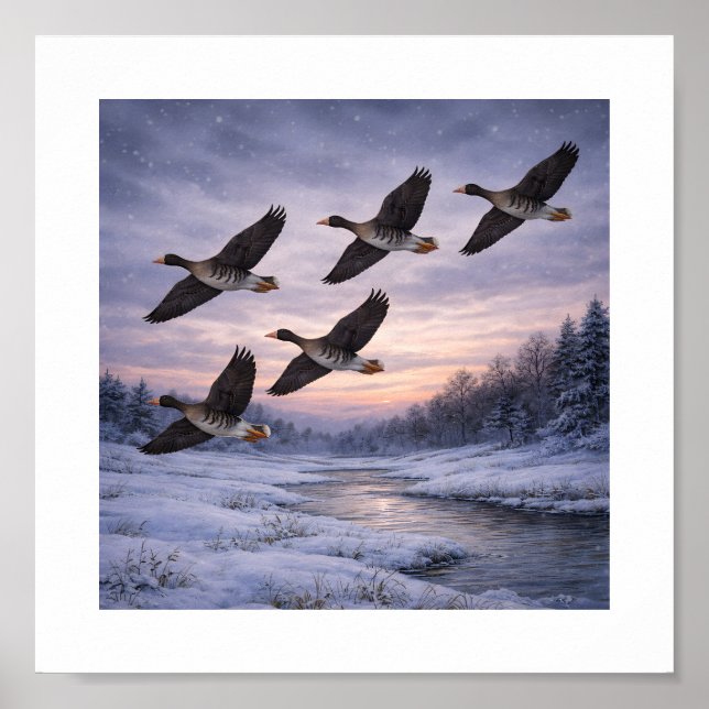 Greater White-fronted Geese in Winter –  Poster (Front)