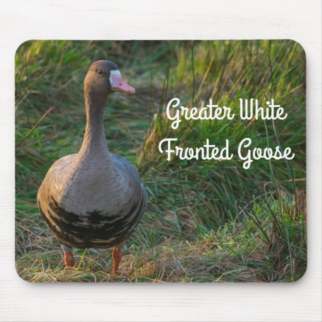 Greater White Fronted Goose Mouse Mat (Front)